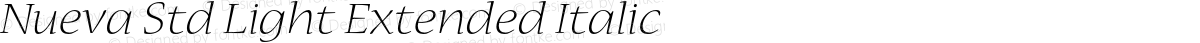 Nueva Std Light Extended Italic