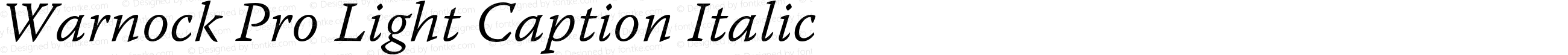 Warnock Pro Light Caption Italic