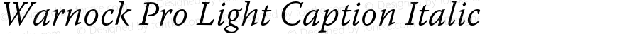 Warnock Pro Light Caption Italic