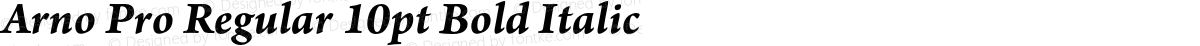 Arno Pro Regular 10pt Bold Italic