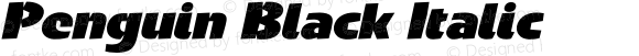 Penguin Black Italic 001.000