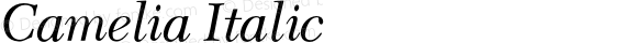 CameliaItalic