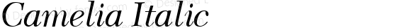 Camelia Italic