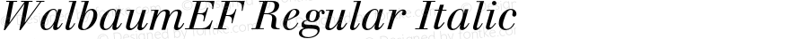 WalbaumEF-RegularItalic