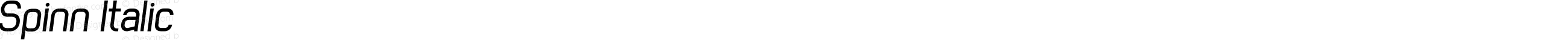 Spinn Italic