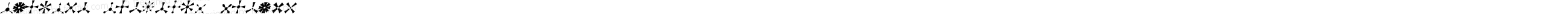 AltemusStarsTwoItalic