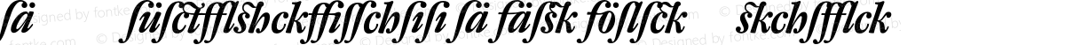 DTL Fleischmann D Alt Bold Italic