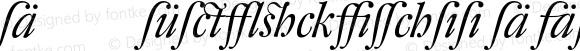 DTL Fleischmann D Alt Italic