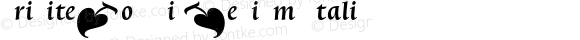 TriniteNo4 Pi Medium Italic