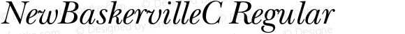 NewBaskervilleC-Italic