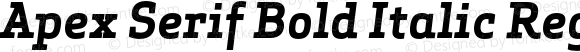 Apex Serif Bold Italic Regular 005.000