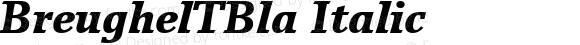 BreughelTBla Italic