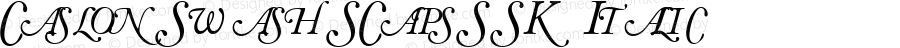 CaslonSwashSCapsSSK Italic