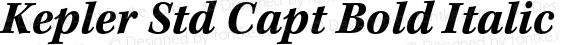Kepler Std Capt Bold Italic