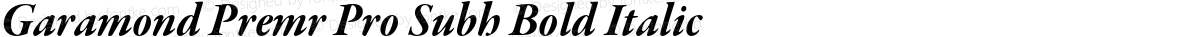 Garamond Premr Pro Subh Bold Italic