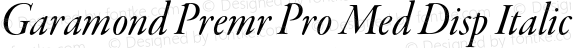 Garamond Premr Pro Med Disp Italic