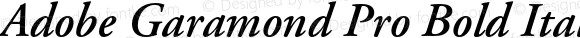 Adobe Garamond Pro Bold Italic