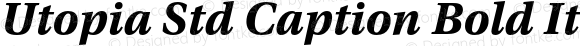 Utopia Std Caption Bold Italic