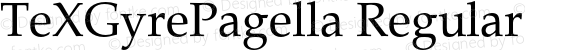 TeXGyrePagella Regular