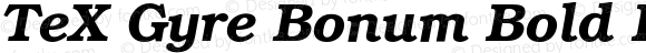 TeX Gyre Bonum Bold Italic