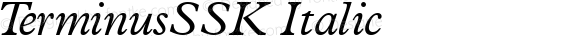 TerminusSSK Italic Macromedia Fontographer 4.1 9/2/95