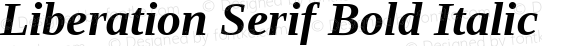 Liberation Serif Bold Italic