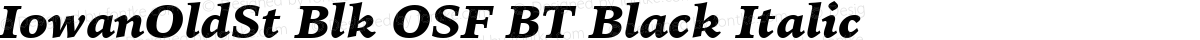 IowanOldSt Blk OSF BT Black Italic