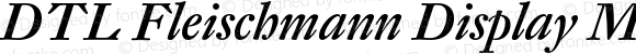 DTL Fleischmann Display Medium Italic