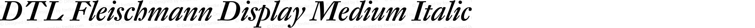 DTL Fleischmann Display Medium Italic