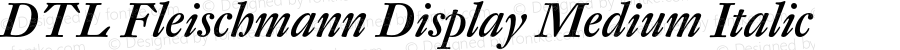 DTL Fleischmann Display Medium Italic