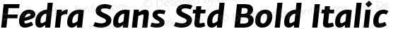 Fedra Sans Std Bold Italic