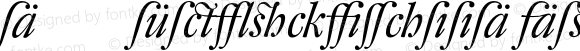 DTLFleischmannD Alt Italic