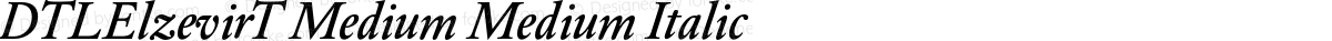 DTLElzevirT Medium Medium Italic