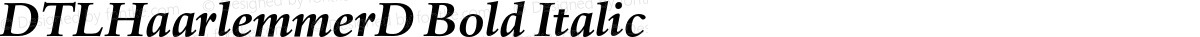 DTLHaarlemmerD Bold Italic