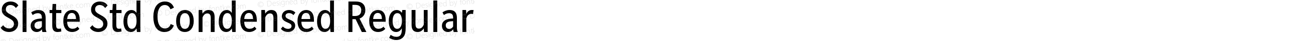 Slate Std Condensed Regular