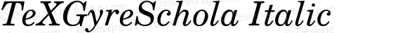 TeXGyreSchola Italic