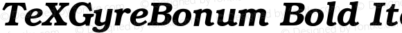 TeXGyreBonum Bold Italic
