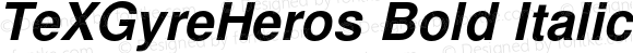 TeXGyreHeros Bold Italic