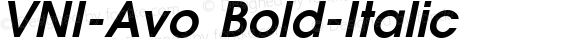 VNI-Avo Bold-Italic 1.0 Tue Nov 30 13:14:21 1993