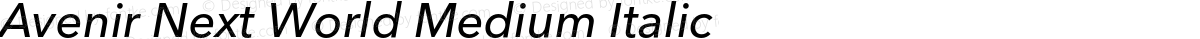 Avenir Next World Medium Italic