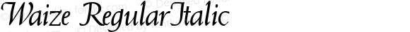 Waize RegularItalic