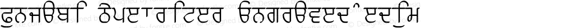 Punjabi Typewriter Engraved Medium