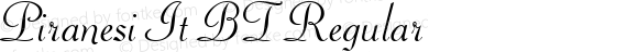 Piranesi It BT Regular mfgpctt-v1.59 Wednesday, March 17, 1993 9:40:17 am (EST)