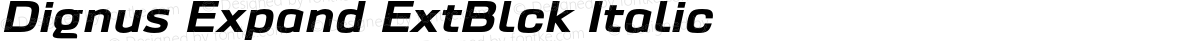 Dignus Expand ExtBlck Italic
