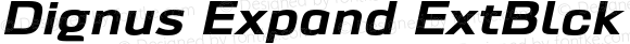 Dignus Expand ExtBlck Italic