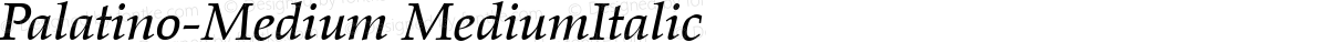 Palatino-Medium MediumItalic