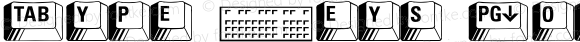 Type Keys Normal