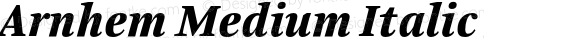 Arnhem Medium Italic