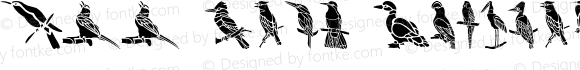 HFF Bird Stencil Regular