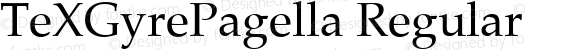 TeXGyrePagella